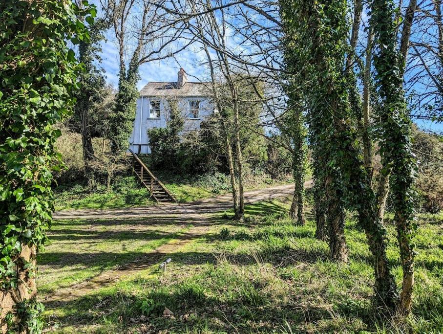 Romantic Secluded Hideaway Cottage In Cornwall Труро Экстерьер фото